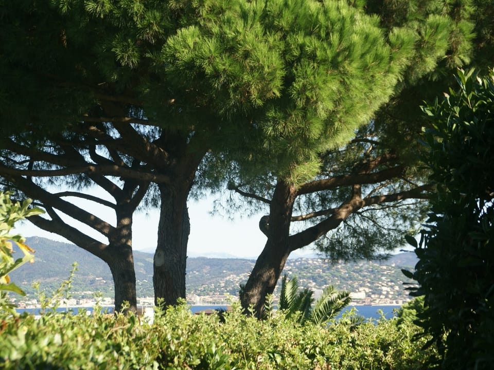 View from Holiday Home [summer]