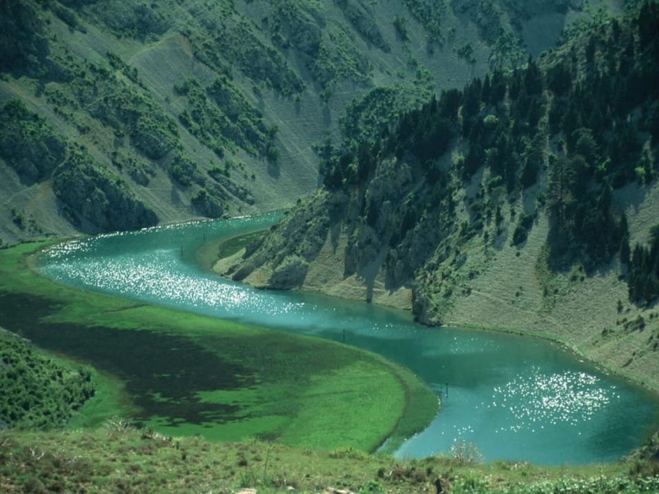 Region [summer] (>5 km)