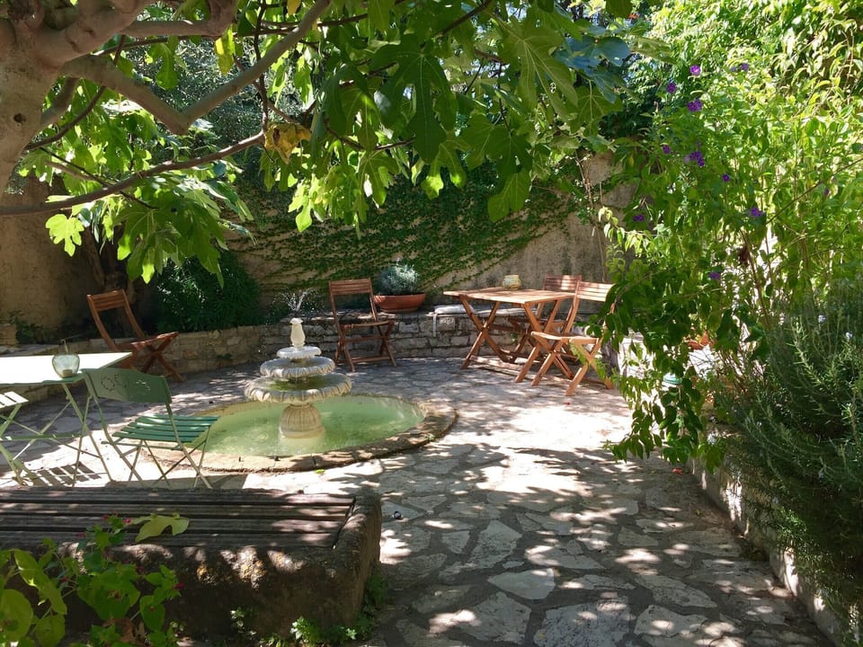 Garden [summer]