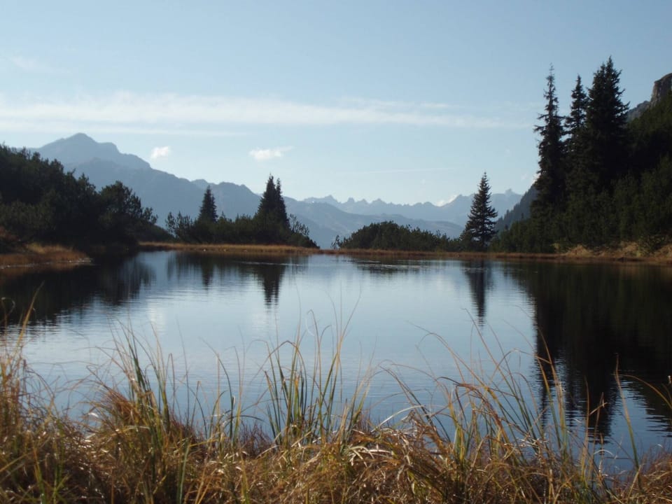 Region [summer] (>5 km)