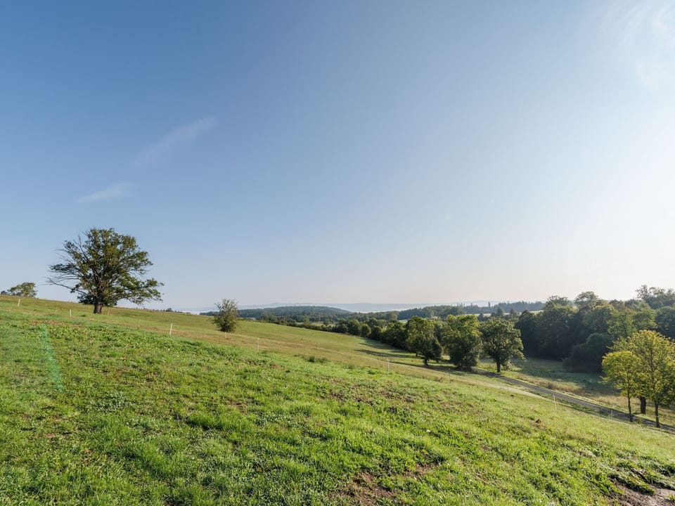 Immediate Surroundings [summer] (<1 km)