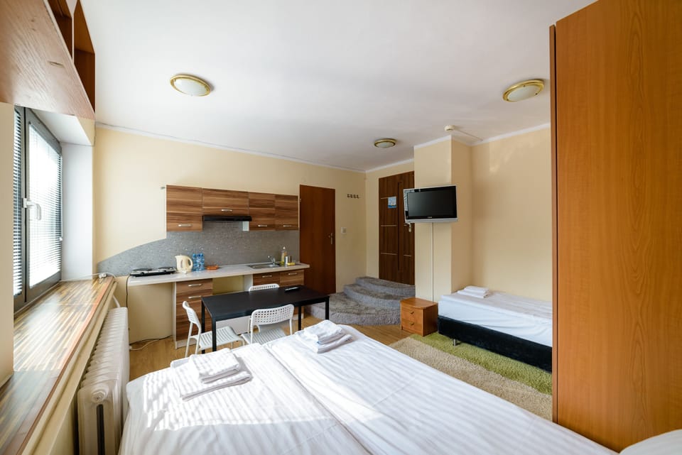 Studio, Kitchenette | Living area | TV