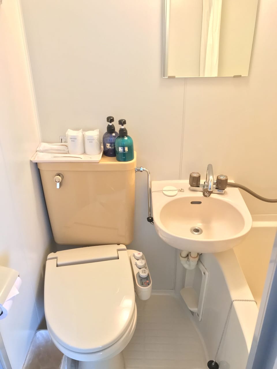 Combined shower/tub, deep soaking tub, free toiletries, hair dryer