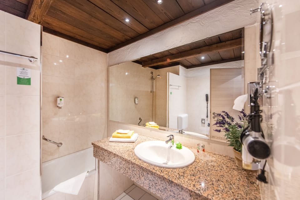 Single Room | Bathroom | Free toiletries, hair dryer, towels