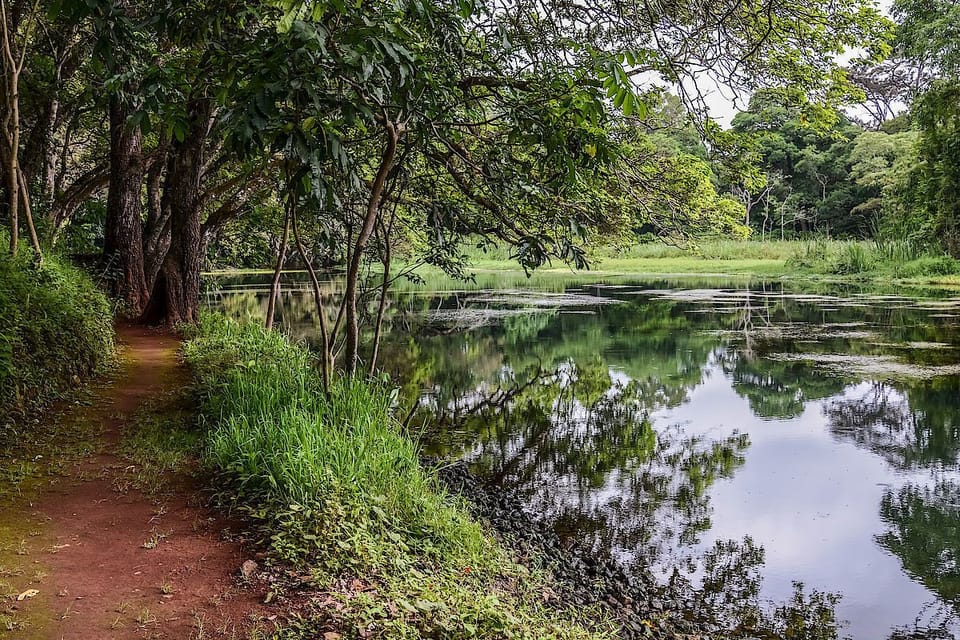 Lake
