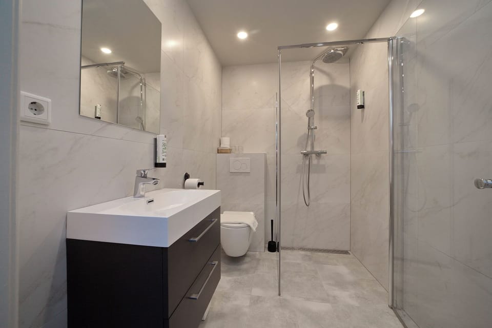 Classic Double Room | Bathroom | Shower, hair dryer, towels