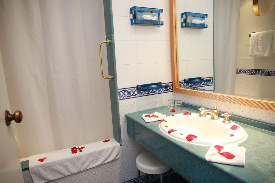 Bathtub, free toiletries, hair dryer, bathrobes