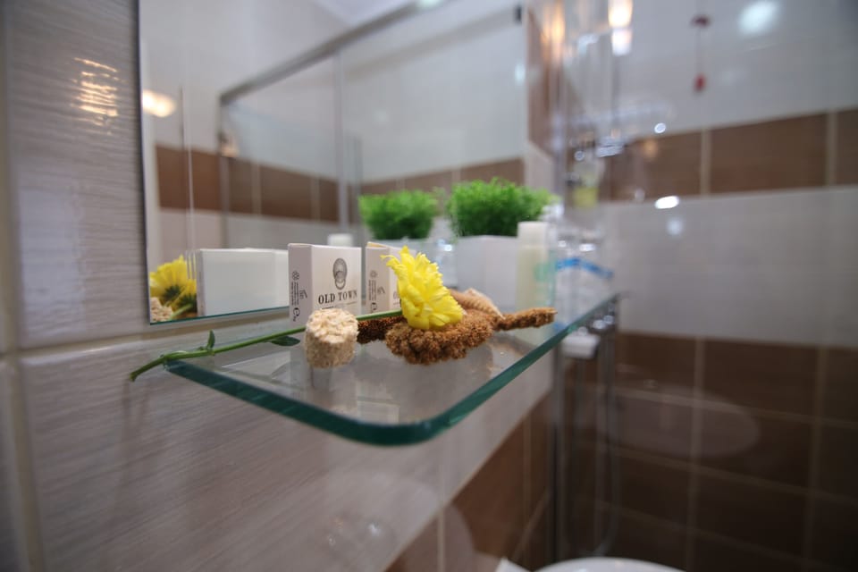 Shower, free toiletries, hair dryer, slippers
