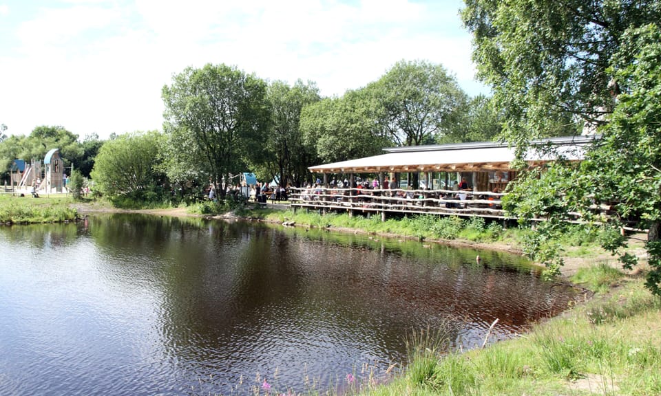 Children's activities