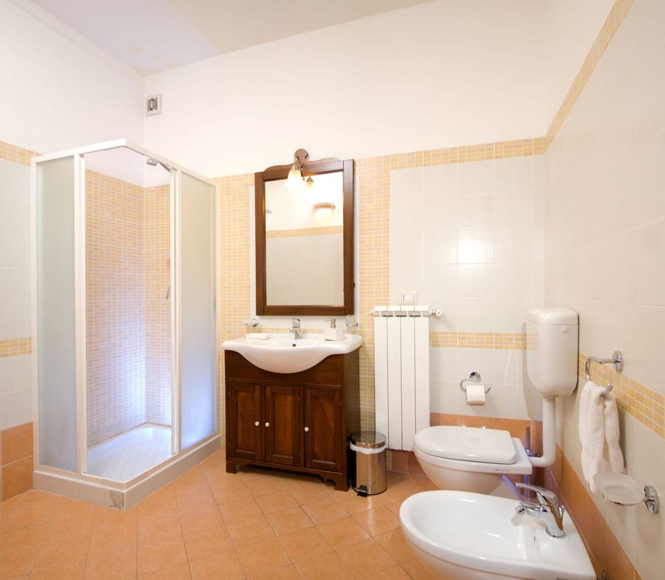 Shower, free toiletries, hair dryer, bidet