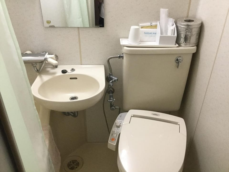 Combined shower/tub, free toiletries, hair dryer, slippers