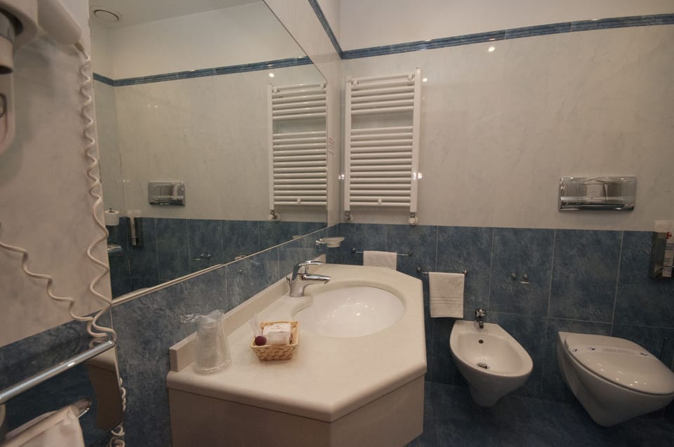 Rainfall showerhead, hair dryer, bidet, towels