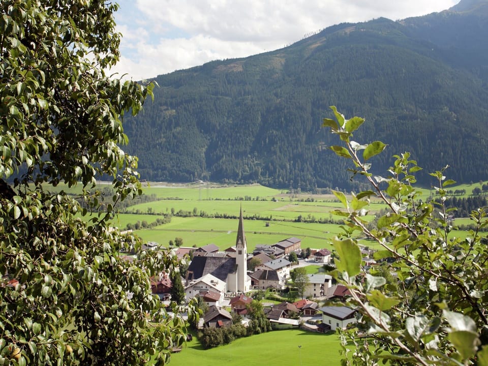 View from Holiday Home [summer]