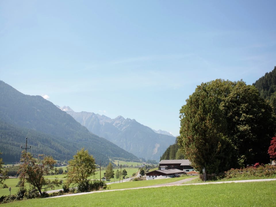 Immediate Surroundings [summer] (<1 km)