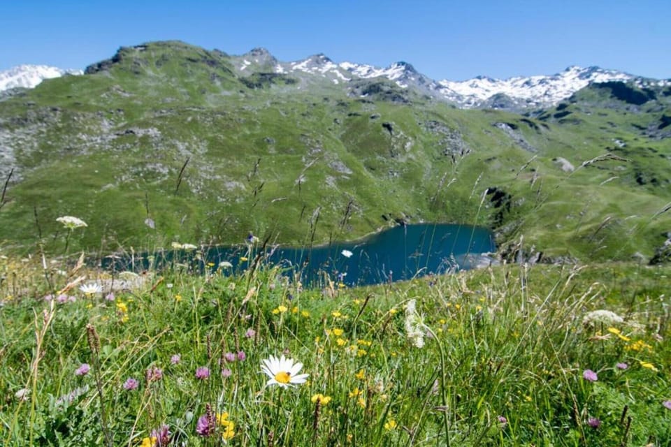 Region [summer] (>5 km)