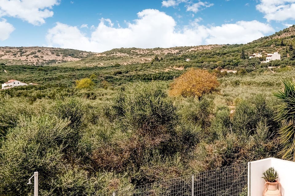 Immediate Surroundings [summer] (<1 km)