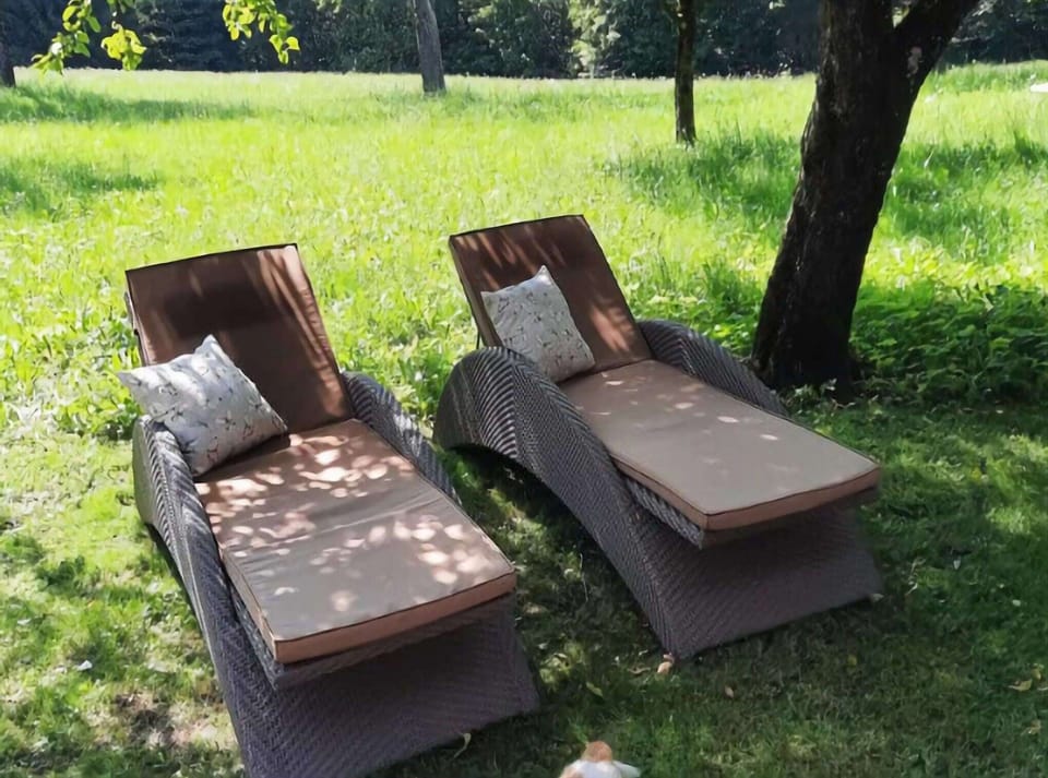Garden [summer]