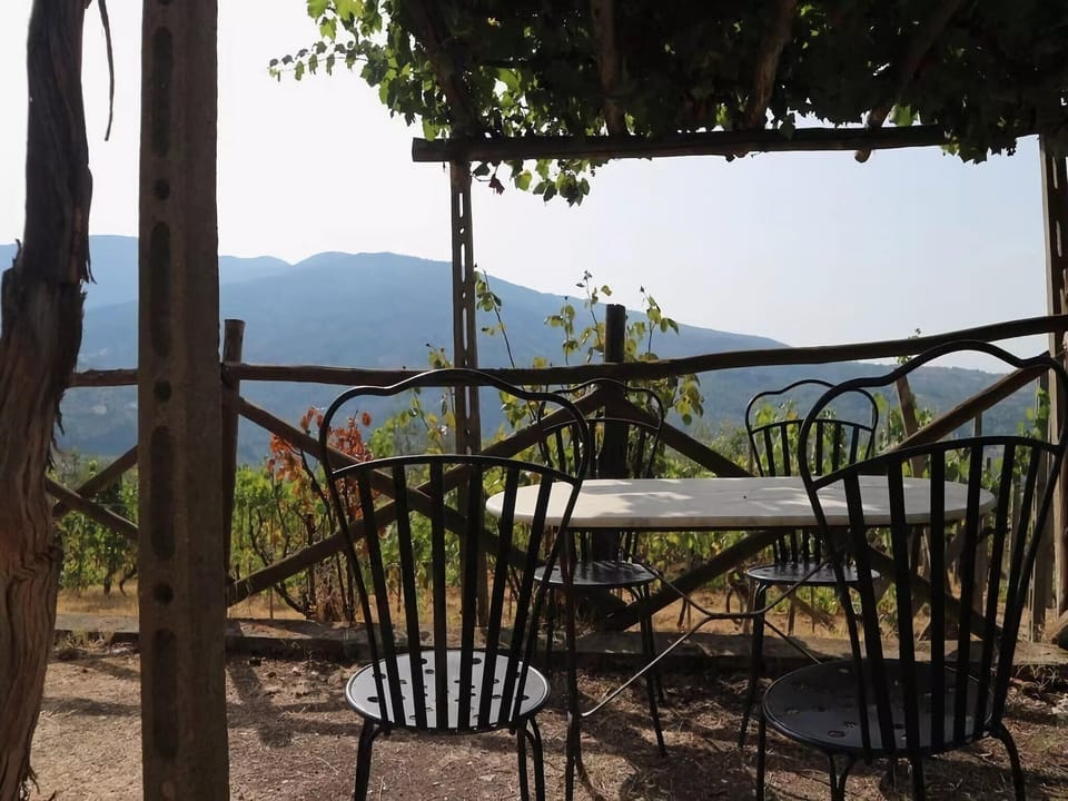 Patio / Balcony