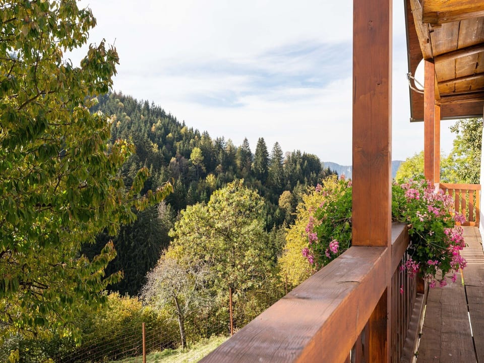 Patio / Balcony