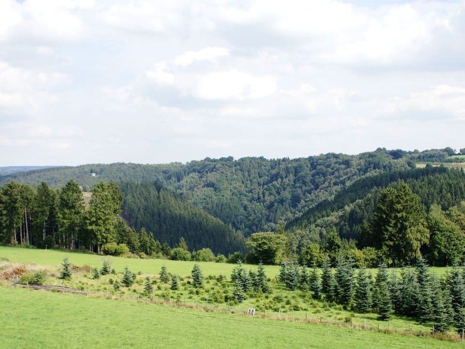 Immediate Surroundings [summer] (<1 km)