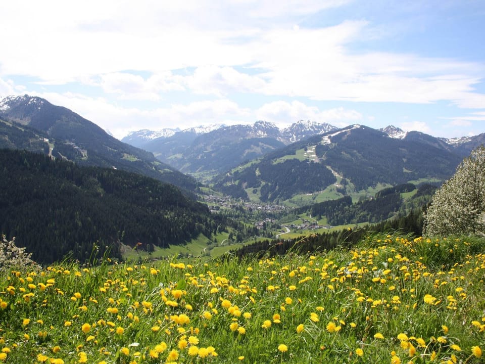 View from Holiday Home [summer]