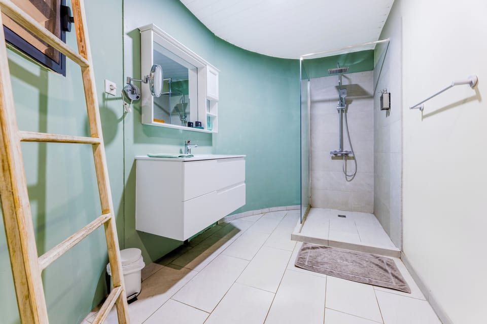 Shower, designer toiletries, hair dryer, towels