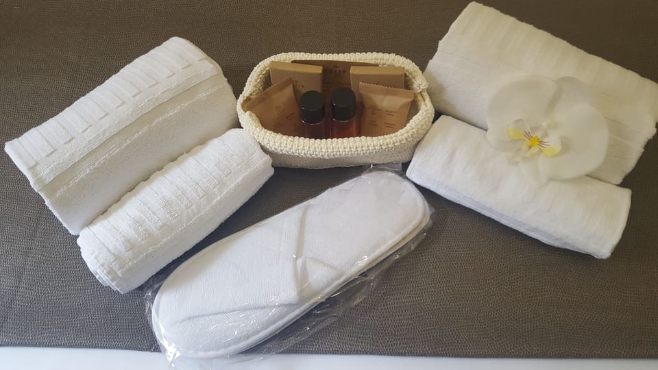 Junior Suite | Bathroom amenities | Shower, free toiletries, hair dryer, towels