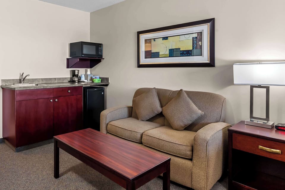 Standard Room, 1 King Bed, Non Smoking, Refrigerator & Microwave | Desk, laptop workspace, soundproofing, iron/ironing board (on request)