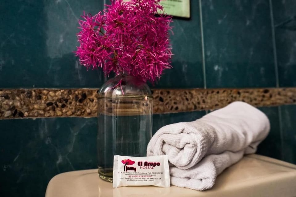 Shower, hair dryer (on request), towels