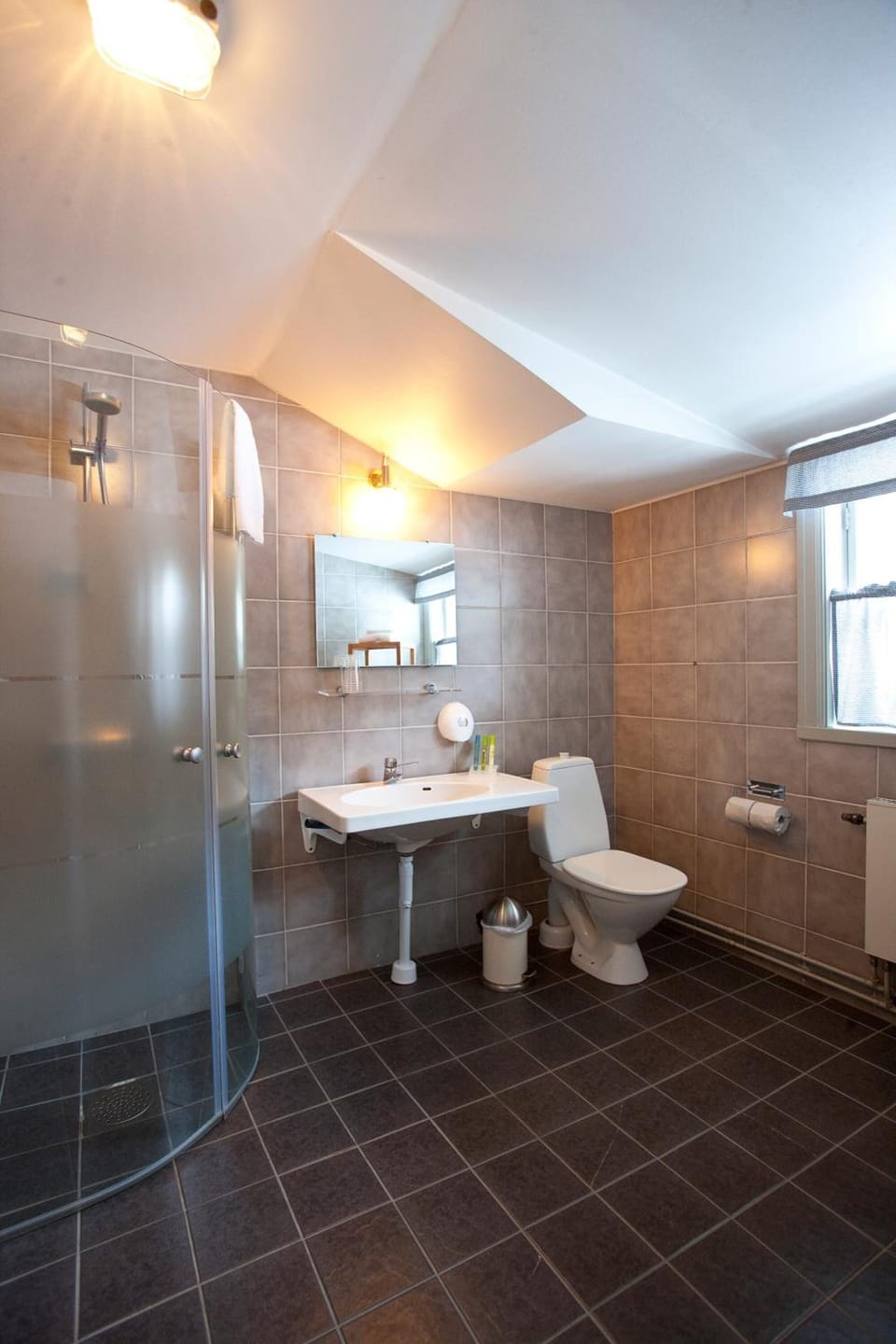 Shower, free toiletries, hair dryer