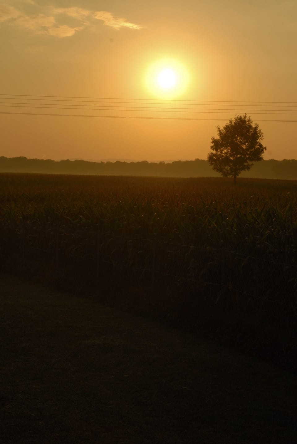 View from property