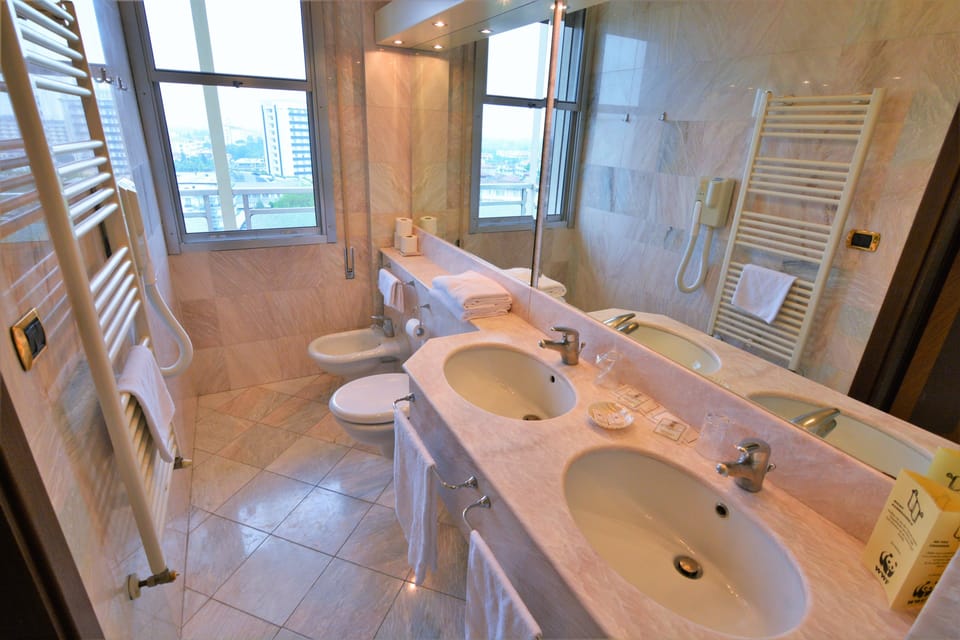Hair dryer, bathrobes, bidet, towels