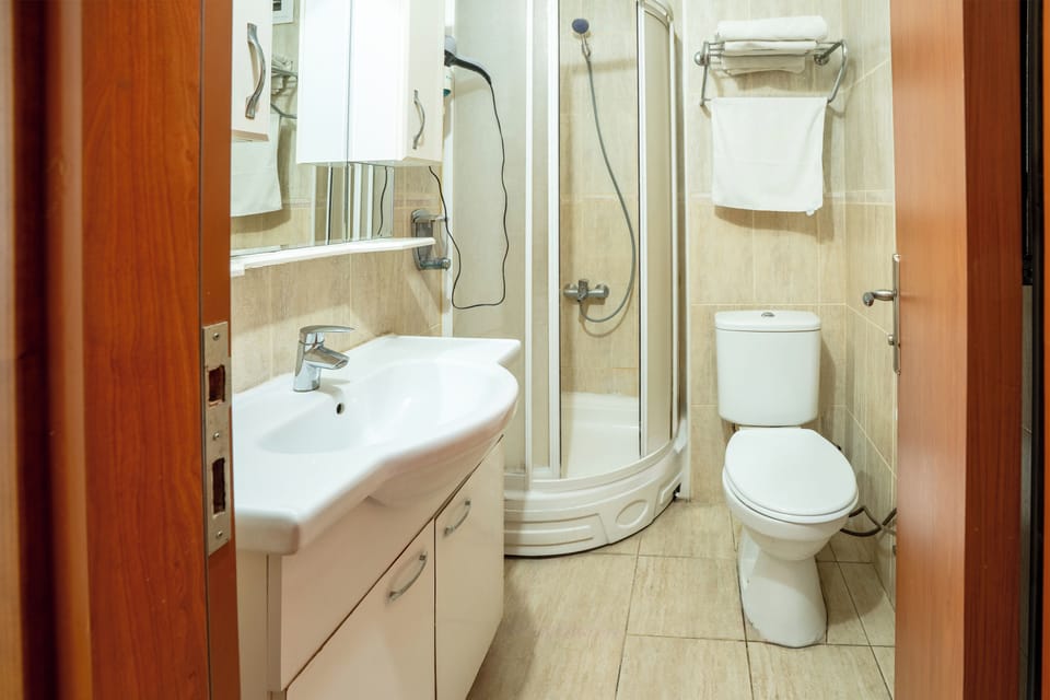 Single Room | Bathroom | Free toiletries, hair dryer, towels