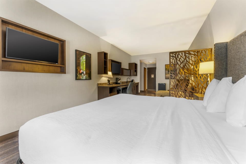 Suite, 1 King Bed, Non Smoking, Kitchenette (Larger Room) | In-room safe, desk, laptop workspace, blackout drapes