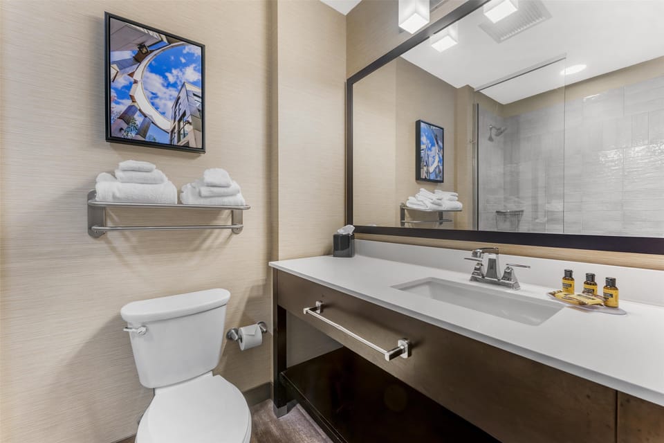 Combined shower/tub, free toiletries, hair dryer, towels