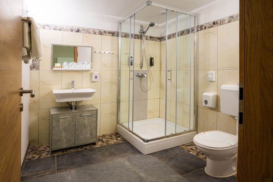 Shower, hair dryer, towels