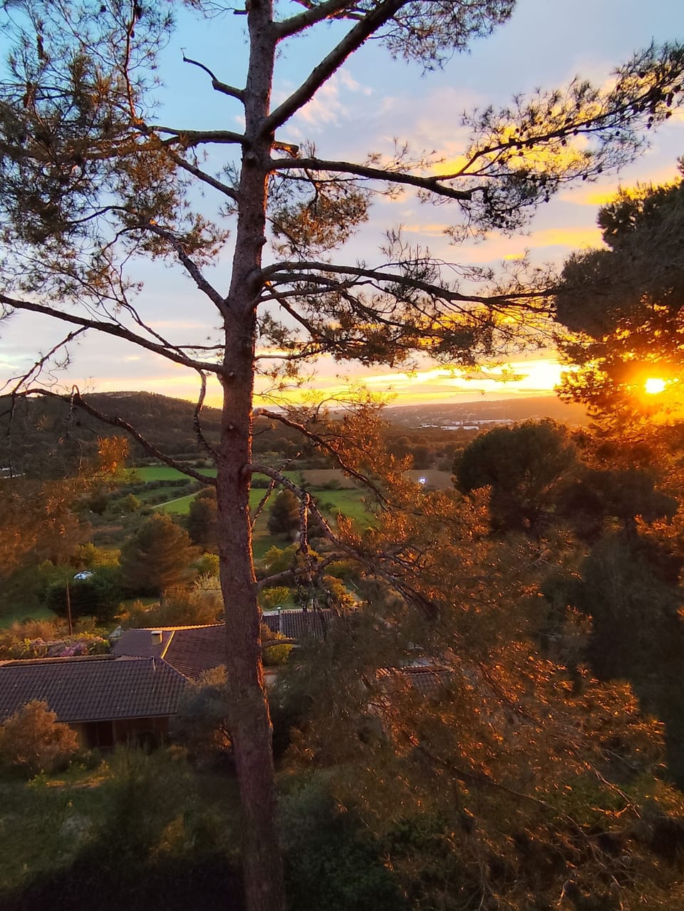 View from property