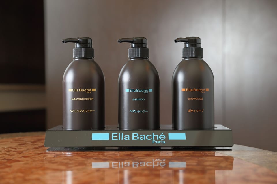 Standard Double Room | Bathroom | Combined shower/tub, hydromassage showerhead, electronic bidet, towels
