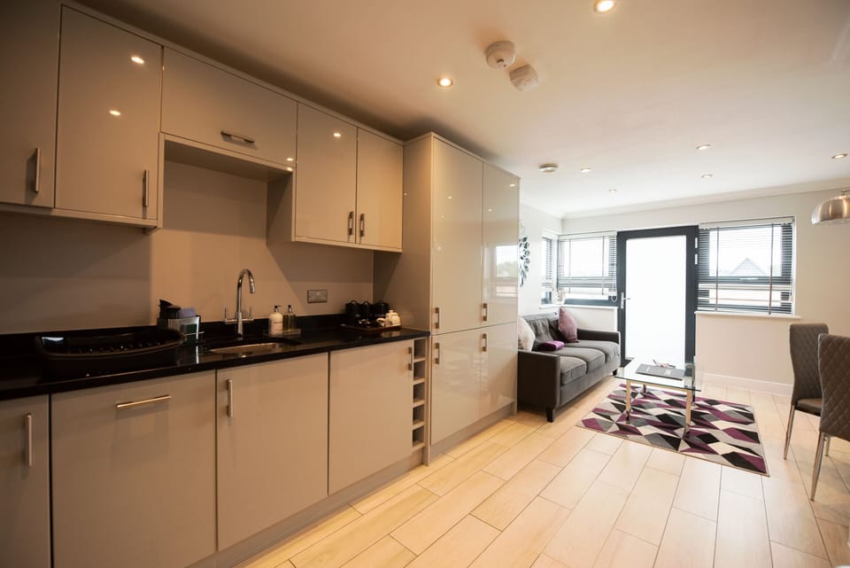 Luxury Penthouse, Private Bathroom, City View | Shared kitchen