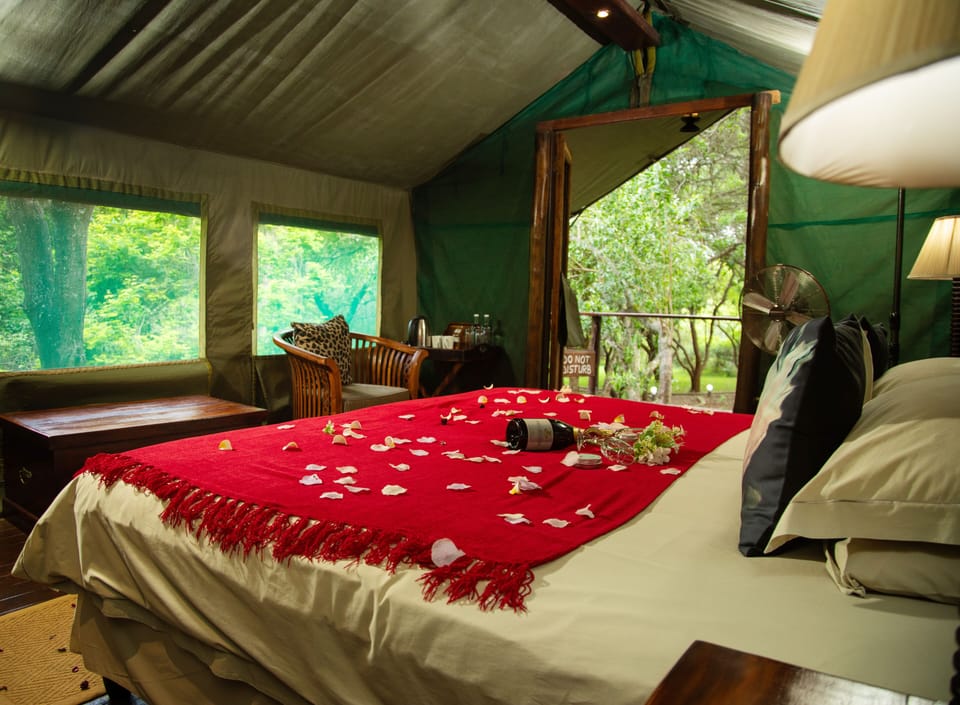 Luxury tented Accommodation twin | In-room safe, desk, free cribs/infant beds, bed sheets