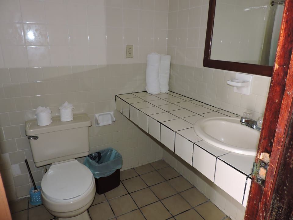 Shower, hair dryer (on request), towels