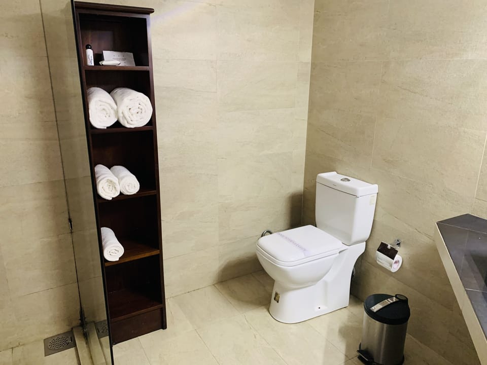 Deluxe Room, 1 Queen Bed, River View | Bathroom | Shower, free toiletries, hair dryer, bidet