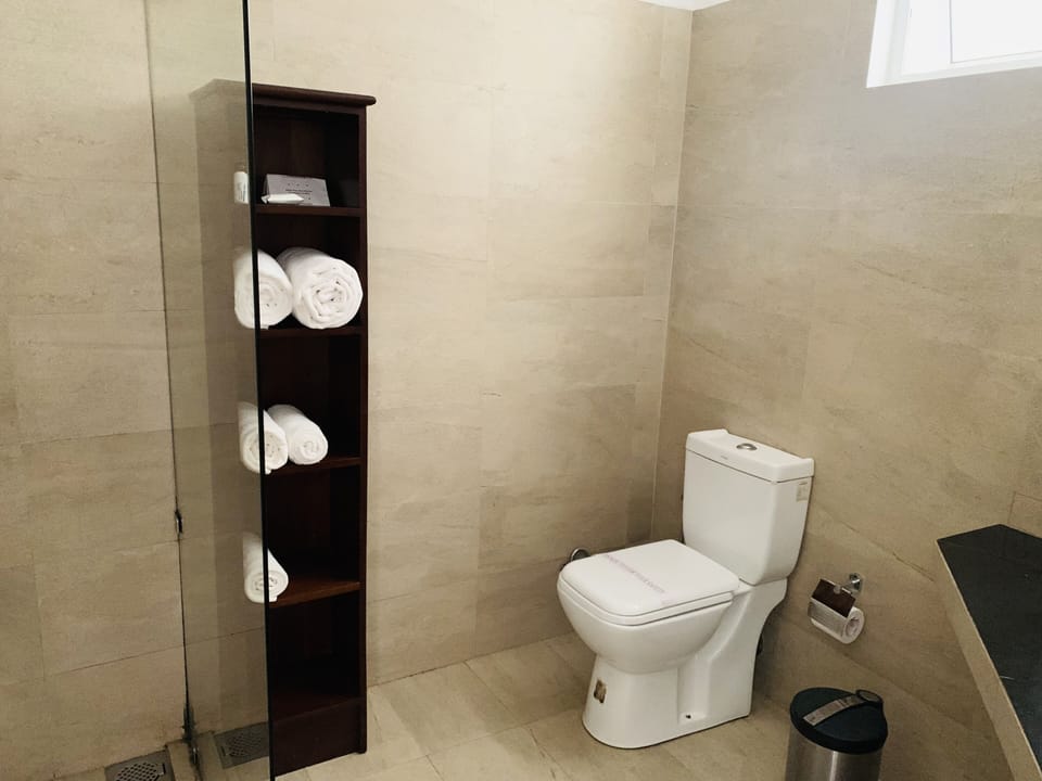 Deluxe Room, 1 Queen Bed, River View | Bathroom | Shower, free toiletries, hair dryer, bidet