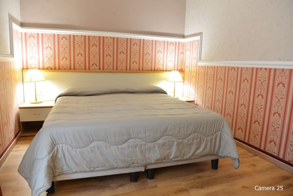 Double Room | Down comforters, minibar, in-room safe, desk
