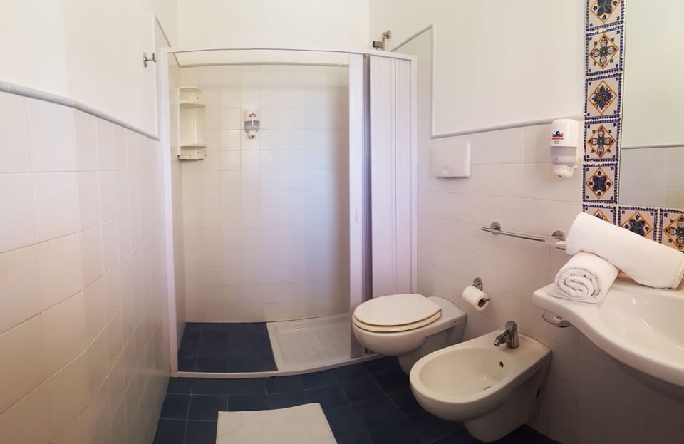 Shower, free toiletries, hair dryer, bidet