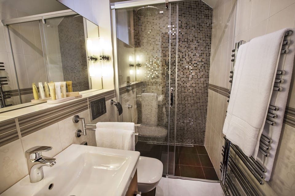 Premium Apartment | Bathroom | Shower, free toiletries, hair dryer, slippers