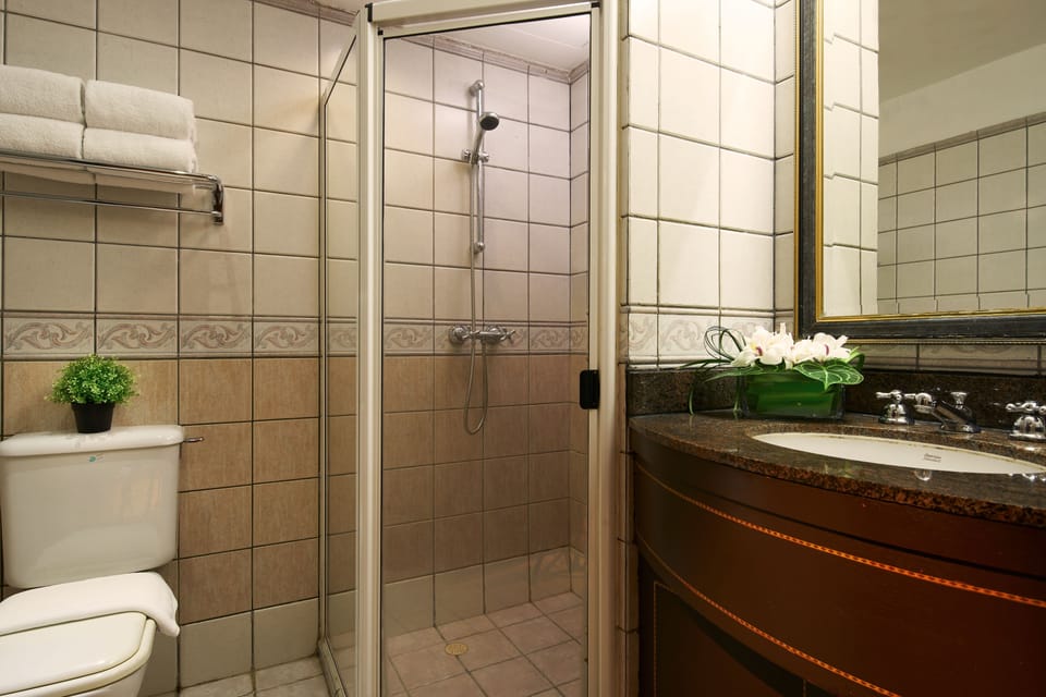 Separate tub and shower, free toiletries, hair dryer, slippers