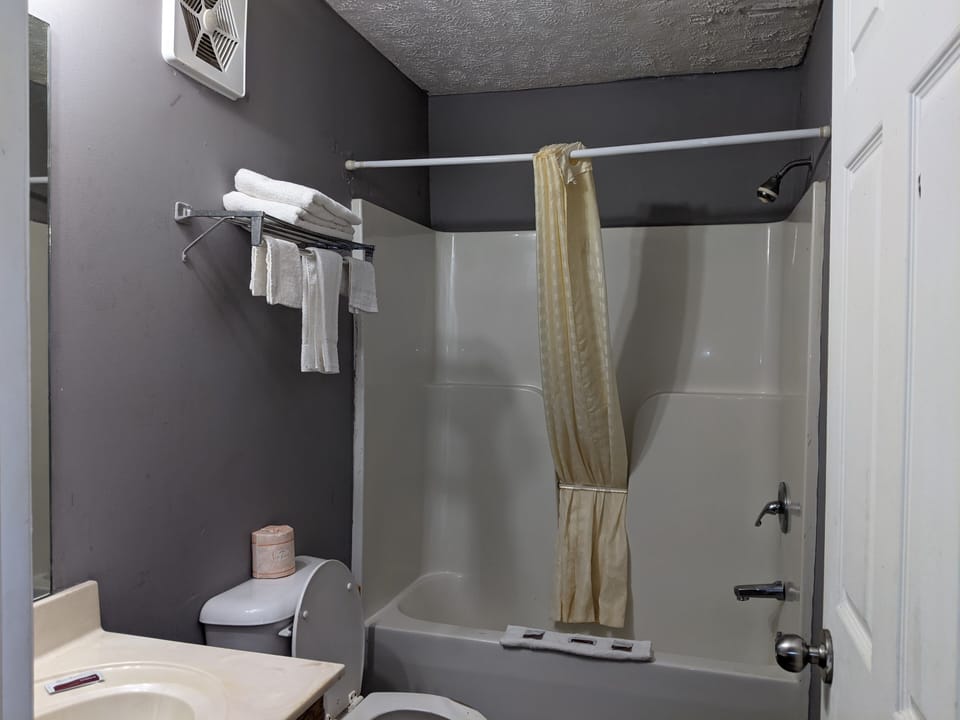Standard Room, 1 King Bed, Non Smoking | Bathroom | Combined shower/tub, free toiletries, towels