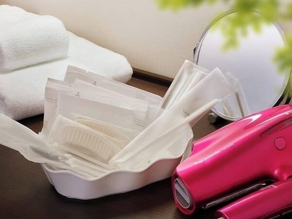 Hair dryer, bidet