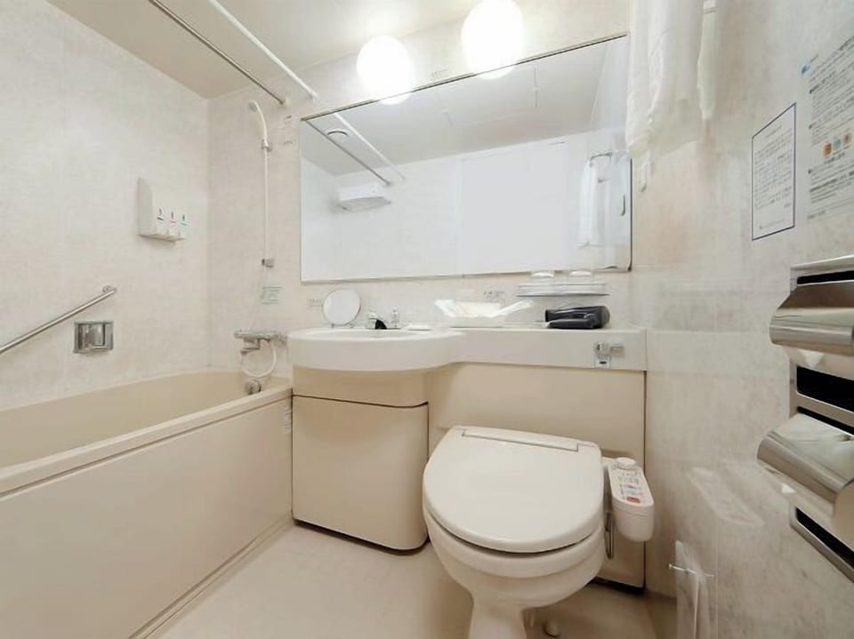 Hair dryer, bidet